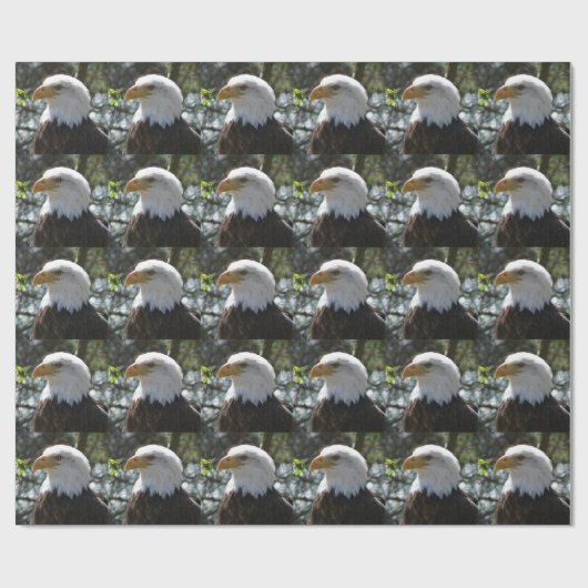 Eagle Cadeaupapier (Vlak)