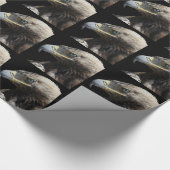 Eagle Cadeaupapier (Hoek)