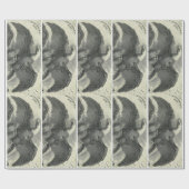 Eagle Cadeaupapier (Vlak)