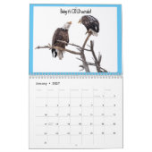 Eagle Calendar 2023 - CN Kalender (Jan 2027)