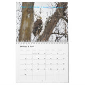 Eagle Calendar Kalender (Feb 2027)