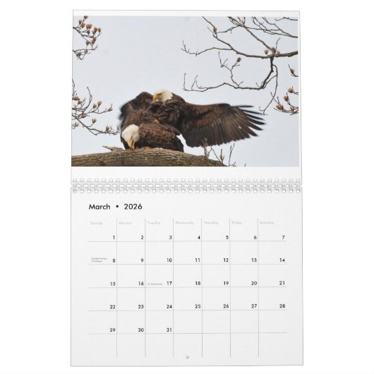 Eagle Calendar Kalender (Mar 2026)