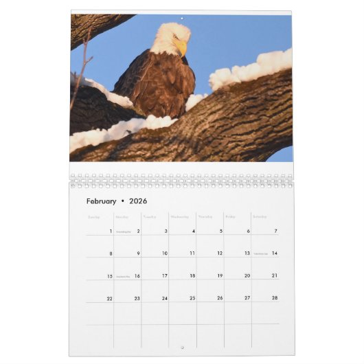 Eagle Calendar Kalender (Feb 2026)