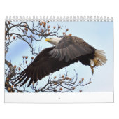 Eagle Calendar Kalender (Hoes)