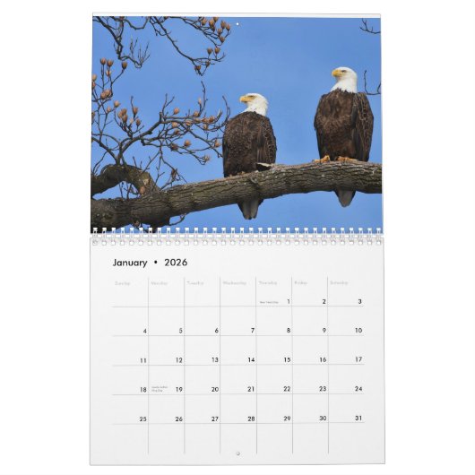 Eagle Calendar Kalender (Jan 2026)
