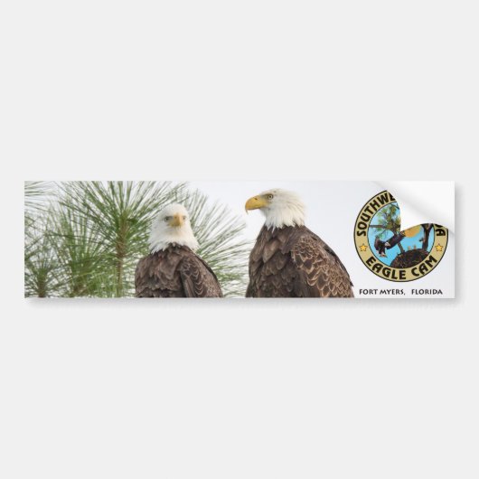 Eagle Cam Bumpersticker (Voorkant)