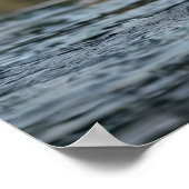 Eagle Catching Fish Poster (Hoek)