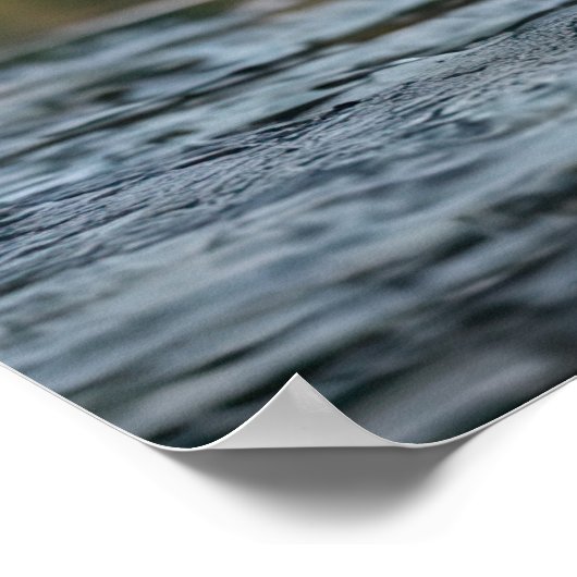 Eagle Catching Fish Poster (Hoek)