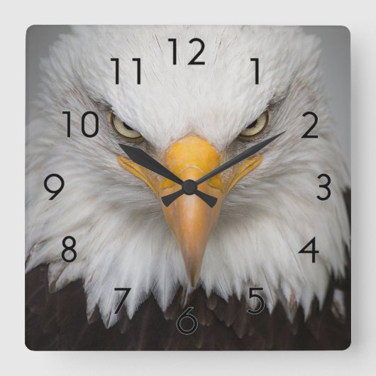 Eagle Closeup Vierkante Klok (Voorkant)