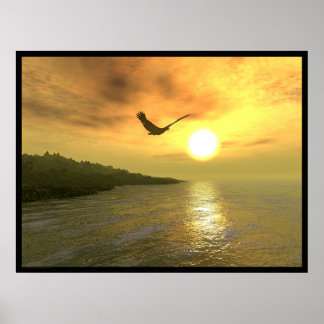 Eagle Coast - Tweede editie Poster