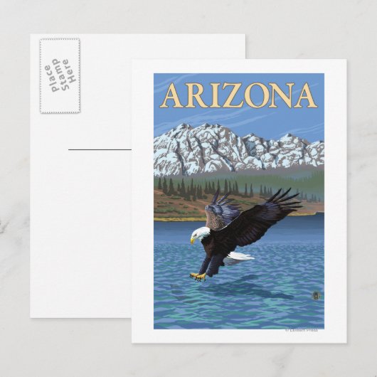 Eagle DivingArizona Briefkaart (Voorkant / Achterkant)
