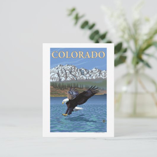 Eagle DivingColorado Briefkaart (Staand voorkant)