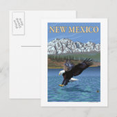 Eagle DivingNew Mexico Briefkaart (Voorkant / Achterkant)