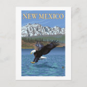 Eagle DivingNew Mexico Briefkaart (Voorkant)