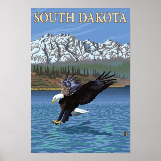 Eagle DivingSouth Dakota Poster (Voorkant)