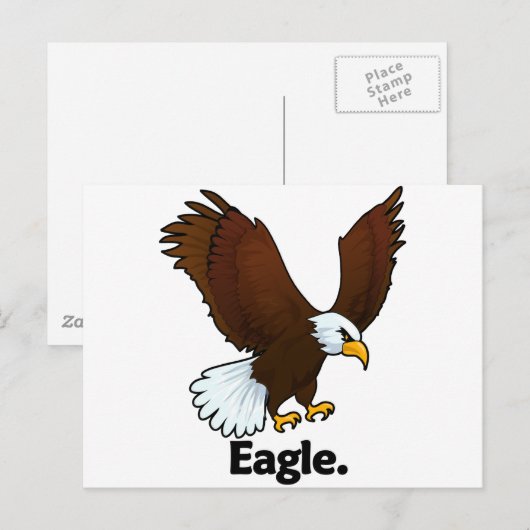 Eagle. Eagle Briefkaart (Voorkant / Achterkant)