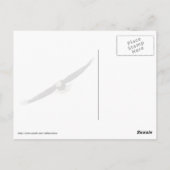 Eagle en American Flag USA Briefkaart (Achterkant)