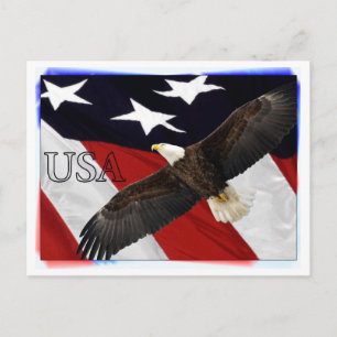Eagle en American Flag USA Briefkaart