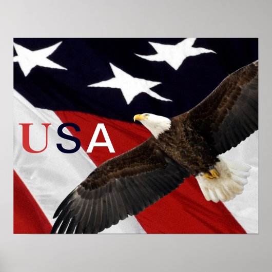 Eagle en American Flag USA Poster (Voorkant)