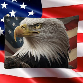Eagle en Amerikaanse vlag Etui
