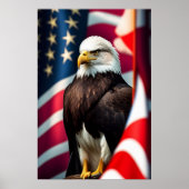 Eagle en Amerikaanse vlag Poster (Voorkant)