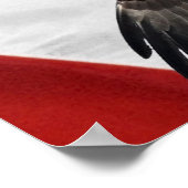 Eagle en Amerikaanse vlag Poster (Hoek)