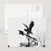 Eagle en Arrow Briefkaart (Voorkant / Achterkant)