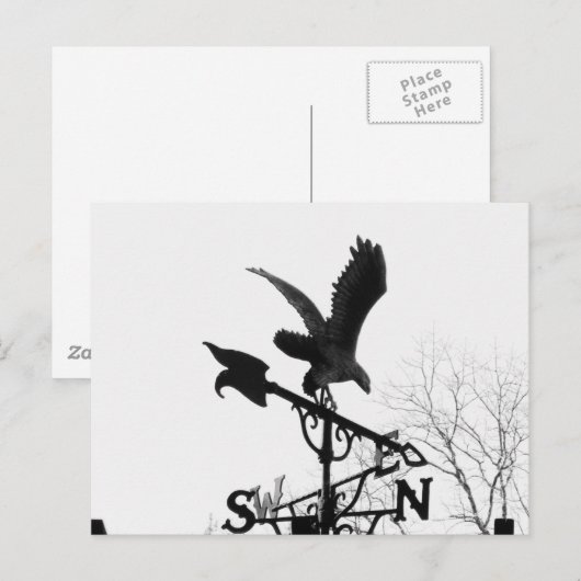 Eagle en Arrow Briefkaart (Voorkant / Achterkant)