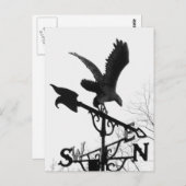 Eagle en Arrow Briefkaart (Voorkant / Achterkant)