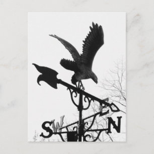 Eagle en Arrow Briefkaart