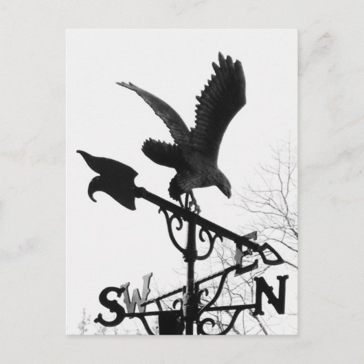 Eagle en Arrow Briefkaart (Voorkant)