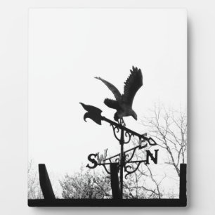 Eagle en Arrow Fotoplaat