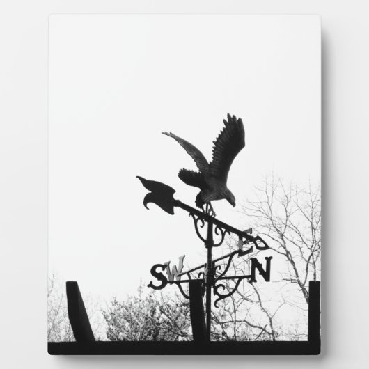 Eagle en Arrow Fotoplaat (Voorkant)