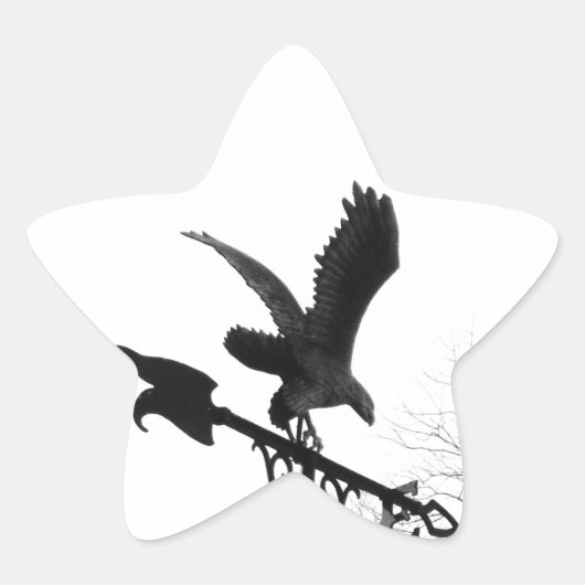Eagle en Arrow Ster Sticker (Voorkant)