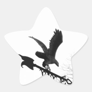 Eagle en Arrow Ster Sticker