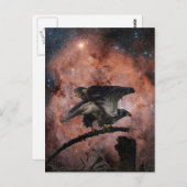 Eagle- en buitenruimtetoestel briefkaart (Voorkant / Achterkant)