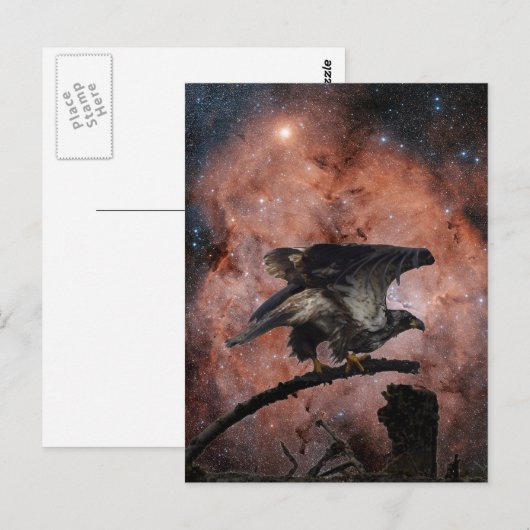 Eagle- en buitenruimtetoestel briefkaart (Voorkant / Achterkant)