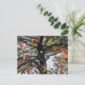 Eagle en Falling Leaves Briefkaart (Staand voorkant)