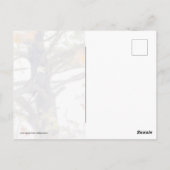 Eagle en Falling Leaves Briefkaart (Achterkant)