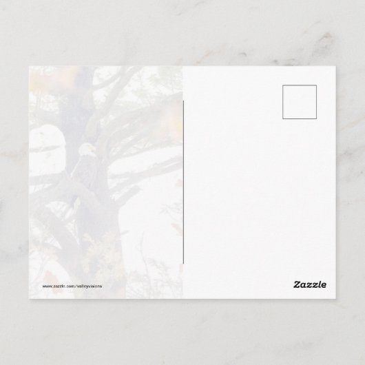 Eagle en Falling Leaves Briefkaart (Achterkant)