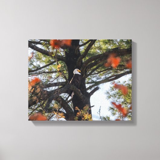 Eagle en Falling Leaves Canvas Afdruk (Voorkant)