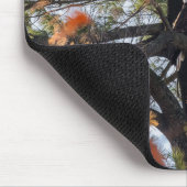 Eagle en Falling Leaves Muismat (Hoek)