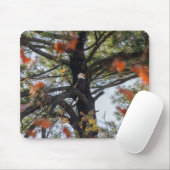 Eagle en Falling Leaves Muismat (Met muis)