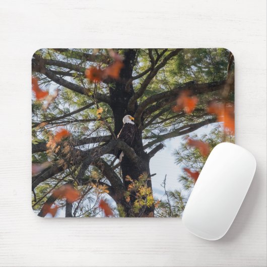 Eagle en Falling Leaves Muismat (Met muis)