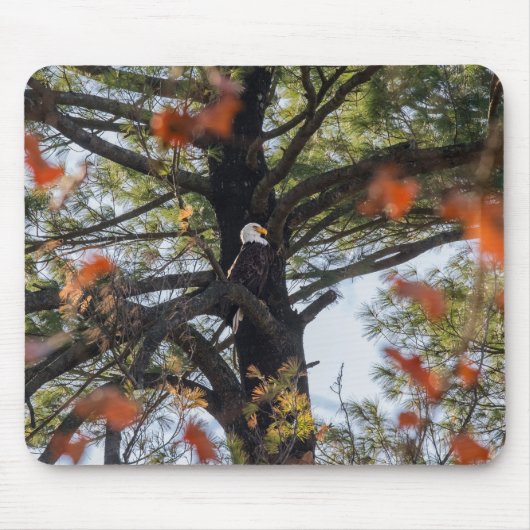 Eagle en Falling Leaves Muismat (Voorkant)