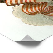 Eagle en Vlag Poster (Hoek)