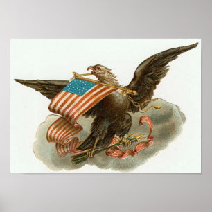 Eagle en Vlag Poster