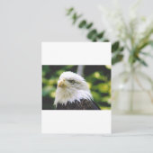 Eagle Eye Briefkaart (Staand voorkant)
