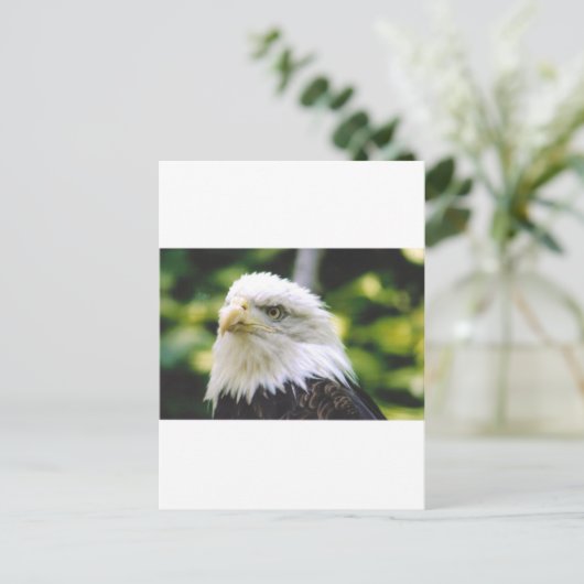 Eagle Eye Briefkaart (Staand voorkant)