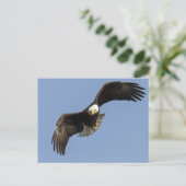 Eagle Eye Briefkaart (Staand voorkant)